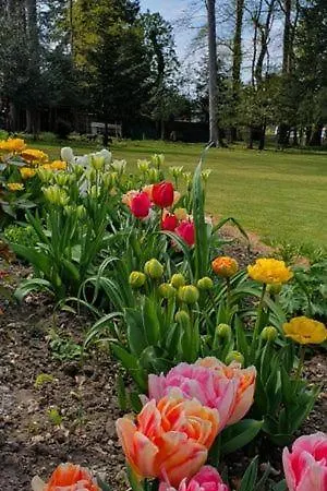 D'hotes Des Rouets Bed & Breakfast Fourmies