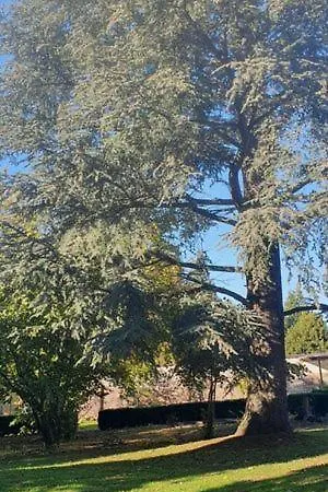 D'hotes Des Rouets 4*