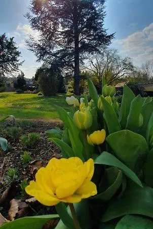 Bed & Breakfast D'hotes Des Rouets Fourmies