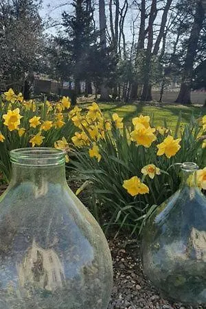 D'hotes Des Rouets فندق مبيت وإفطار Fourmies