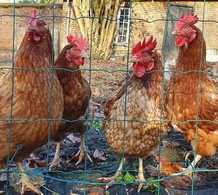 D'hotes Des Rouets Fourmies