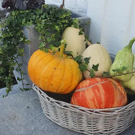 فندق مبيت وإفطار D'hotes Des Rouets Fourmies