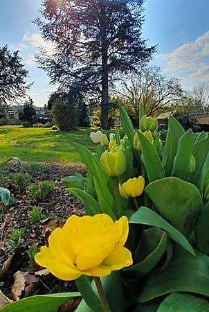 Bed & Breakfast D'hotes Des Rouets 4*